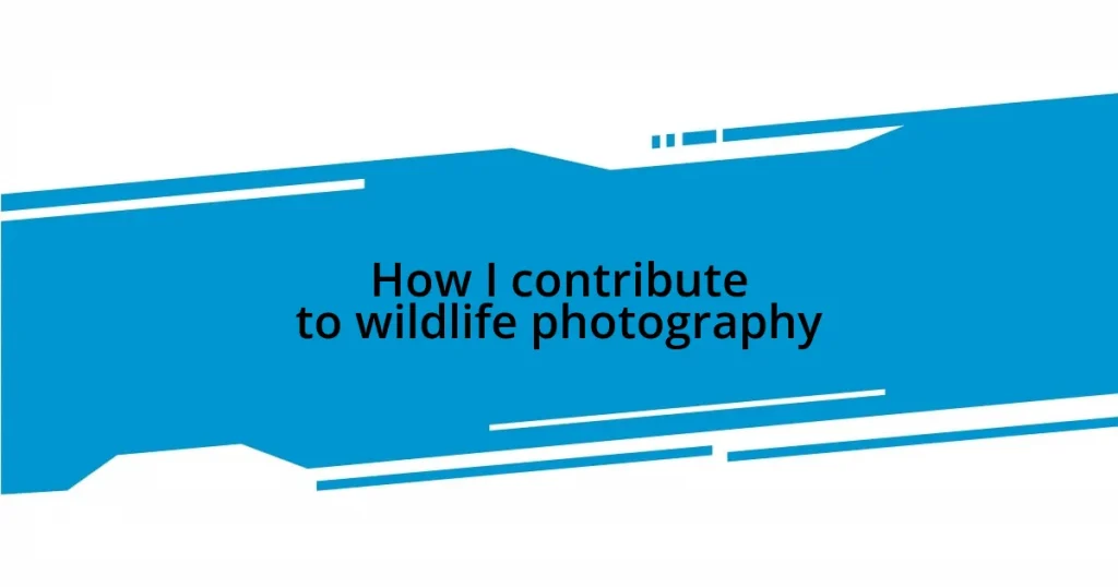 How I contribute to wildlife photography